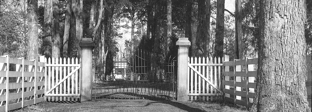 Views of front gate at Hermitage