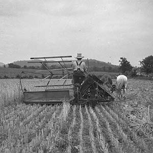 Agriculture Gallery