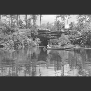 Natural bridge Pickett Forest