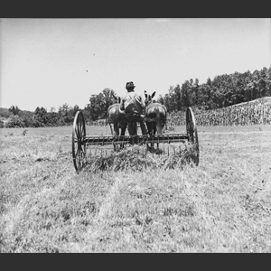 Old-farm scenes at Aunt Minnies