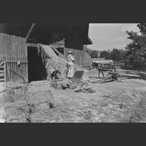 Baling hay - Linton Tenn