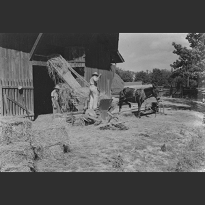 Baling hay - Linton Tenn