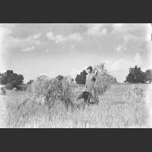 Typical Mt. country woman shocking wheat - "clouds" Aunt Minnie