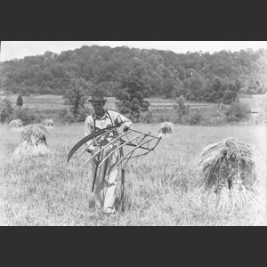 Farm Folk Field Labor Cradling Wheat Ora K_ - Dee G_ - Ruby G_