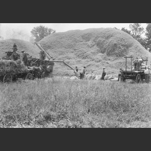 Wheat-threshing - Steam rig - Medium close-ups hands, engine, thresher etc. - "Morrels"