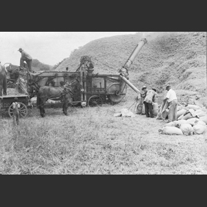 Wheat-threshing - Steam rig - Medium close-ups hands, engine, thresher etc. - "Morrels"