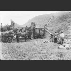 Wheat-threshing - Steam rig - Medium close-ups hands, engine, thresher etc. - "Morrels"