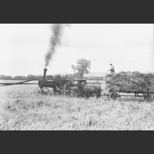 Wheat-threshing - Steam rig - Medium close-ups hands, engine, thresher etc. - "Morrels"