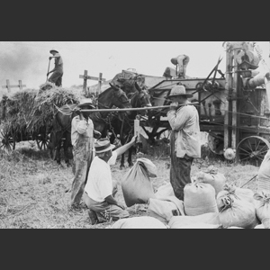 Wheat threshing scenes - Morrel rig