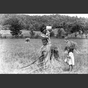 Farm folk field labor - Ora K_ - Ruby G_