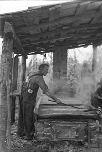 Farm Lasse's Mill