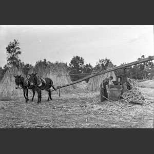 Farm Lasse's Mill