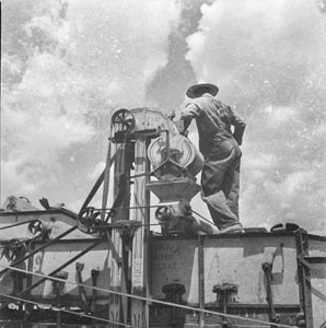 Man on top of wheat Thresher - Scenic