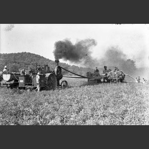 Wheat threshing - Morrells Rig