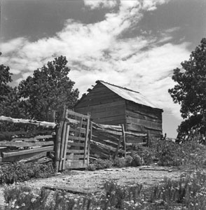 Country Smoke-house Rail-Fence Scenic