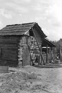 Log-house