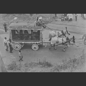 Scenes from Robbins Bro Circus parade