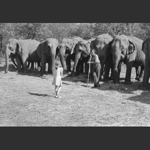 Elephant row man in charge leaning on bull hook talking to little girl Ringling Bros