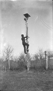 Old man at Baxter Tenn who climbs to top of tall pole each morning to blow a bugle