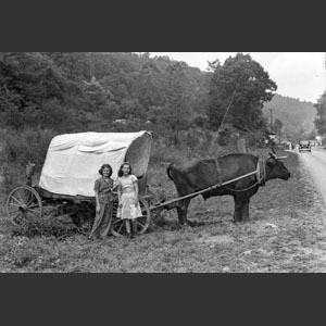 Beverly and Gertrude standing by oxen in Cherokee N.C.