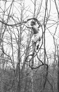 Leather M_ Bill H_ Frank H_Laddie Boy in Trees at Cabin and Little Cabin