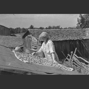 Aunt Minnie drying peaches