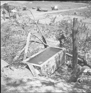 Old watering trough from spring up on Caney-Fork River near Sparta - Now covered up - Center-Hill Dam