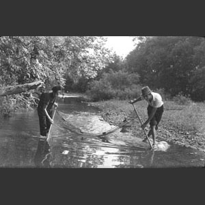 Snook's M_ Wallace S_ seining for Minnows