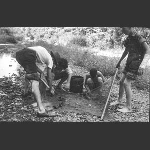 Snook's M_ Wallace S_ seining for Minnows