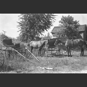 Old covered wagon in parade at Shelbyville - First Walking Horse Celebration