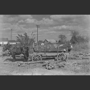 Log Wagon with logs in log yard