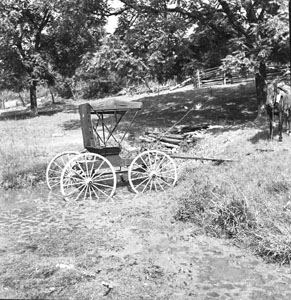 Buggy sitting alone stuck in mud-hole